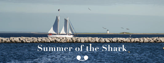 Summer of the Shark: Celebrating Jaws, Shark Week, and the Iconic Great White Loafer
